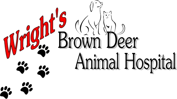 Wright’s Brown Deer Animal Hospital brand banner